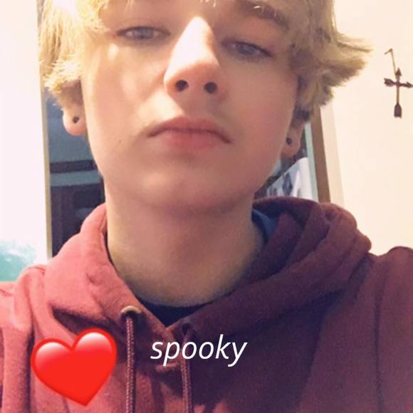 Meet your Posher, Gabriel - Picture 1 of 1